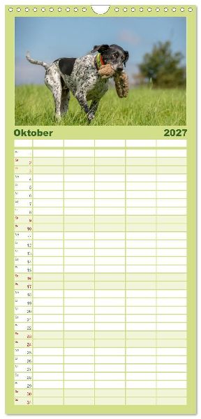 Familienplaner 2027 - Jagdhunde bei der Arbeit mit 5 Spalten (Wandkalender, 21 x 45 cm) CALVENDO