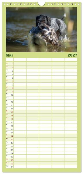 Familienplaner 2027 - Jagdhunde bei der Arbeit mit 5 Spalten (Wandkalender, 21 x 45 cm) CALVENDO