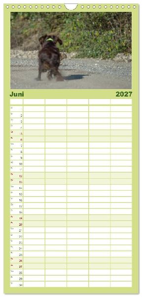 Familienplaner 2027 - Jagdhunde bei der Arbeit mit 5 Spalten (Wandkalender, 21 x 45 cm) CALVENDO