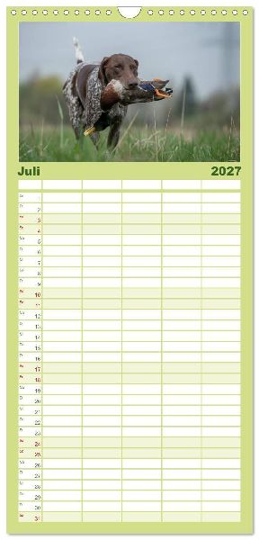 Familienplaner 2027 - Jagdhunde bei der Arbeit mit 5 Spalten (Wandkalender, 21 x 45 cm) CALVENDO