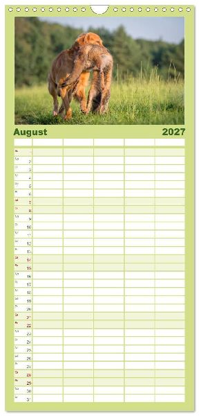 Familienplaner 2027 - Jagdhunde bei der Arbeit mit 5 Spalten (Wandkalender, 21 x 45 cm) CALVENDO
