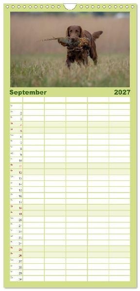 Familienplaner 2027 - Jagdhunde bei der Arbeit mit 5 Spalten (Wandkalender, 21 x 45 cm) CALVENDO
