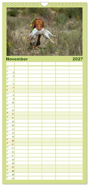 Familienplaner 2027 - Jagdhunde bei der Arbeit mit 5 Spalten (Wandkalender, 21 x 45 cm) CALVENDO