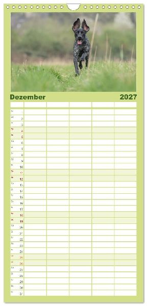Familienplaner 2027 - Jagdhunde bei der Arbeit mit 5 Spalten (Wandkalender, 21 x 45 cm) CALVENDO