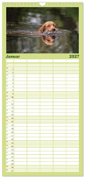 Familienplaner 2027 - Jagdhunde bei der Arbeit mit 5 Spalten (Wandkalender, 21 x 45 cm) CALVENDO