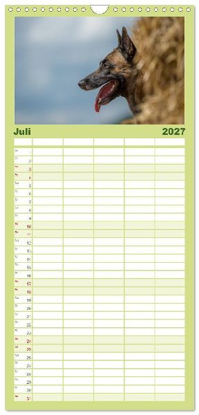 Familienplaner 2027 - Belgischer Schäferhund - Der Malinois in Action mit 5 Spalten (Wandkalender, 21 x 45 cm) CALVENDO