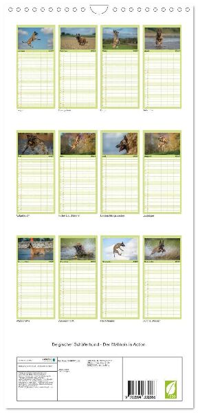 Familienplaner 2027 - Belgischer Schäferhund - Der Malinois in Action mit 5 Spalten (Wandkalender, 21 x 45 cm) CALVENDO