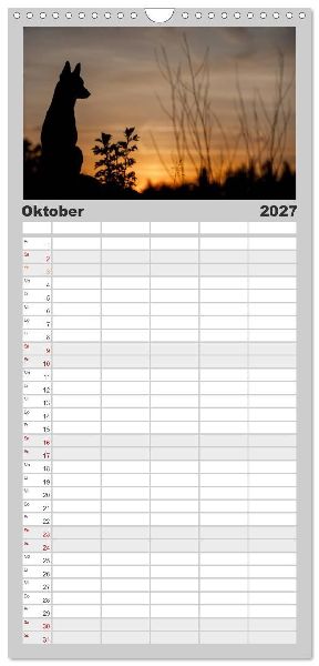 Familienplaner 2027 - Belgische Schäferhunde - Der Malinois im Licht mit 5 Spalten (Wandkalender, 21 x 45 cm) CALVENDO