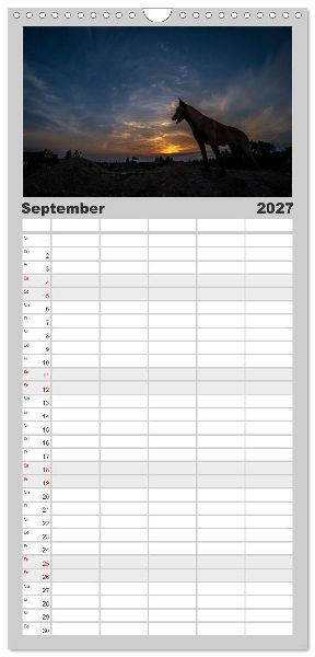 Familienplaner 2027 - Belgische Schäferhunde - Der Malinois im Licht mit 5 Spalten (Wandkalender, 21 x 45 cm) CALVENDO