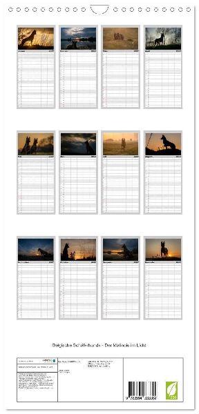 Familienplaner 2027 - Belgische Schäferhunde - Der Malinois im Licht mit 5 Spalten (Wandkalender, 21 x 45 cm) CALVENDO