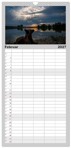 Familienplaner 2027 - Belgische Schäferhunde - Der Malinois im Licht mit 5 Spalten (Wandkalender, 21 x 45 cm) CALVENDO
