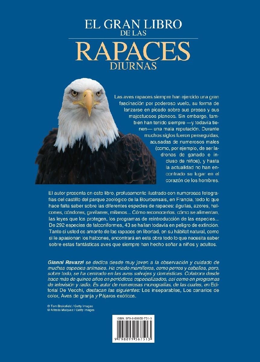 El gran libro de las rapaces diurnas