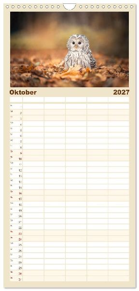 Familienplaner 2027 - Eulen - schön und geheimnisvoll mit 5 Spalten (Wandkalender, 21 x 45 cm) CALVENDO