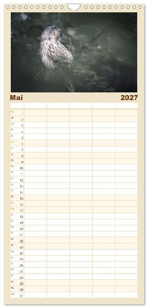 Familienplaner 2027 - Eulen - schön und geheimnisvoll mit 5 Spalten (Wandkalender, 21 x 45 cm) CALVENDO