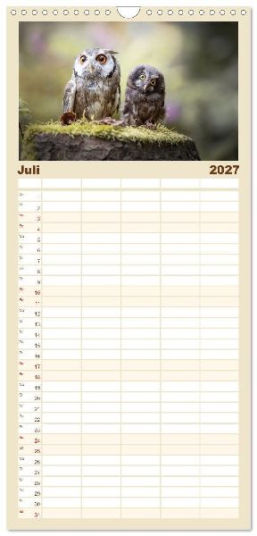 Familienplaner 2027 - Eulen - schön und geheimnisvoll mit 5 Spalten (Wandkalender, 21 x 45 cm) CALVENDO
