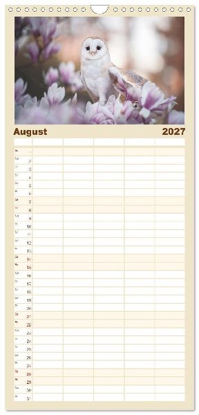Familienplaner 2027 - Eulen - schön und geheimnisvoll mit 5 Spalten (Wandkalender, 21 x 45 cm) CALVENDO