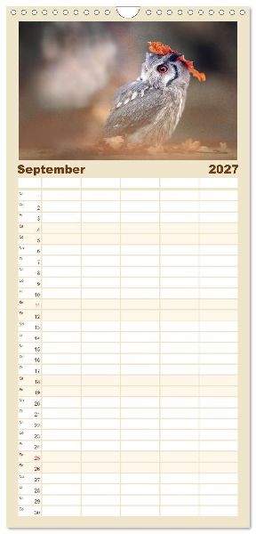 Familienplaner 2027 - Eulen - schön und geheimnisvoll mit 5 Spalten (Wandkalender, 21 x 45 cm) CALVENDO