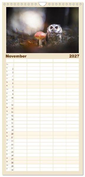 Familienplaner 2027 - Eulen - schön und geheimnisvoll mit 5 Spalten (Wandkalender, 21 x 45 cm) CALVENDO