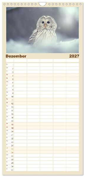 Familienplaner 2027 - Eulen - schön und geheimnisvoll mit 5 Spalten (Wandkalender, 21 x 45 cm) CALVENDO