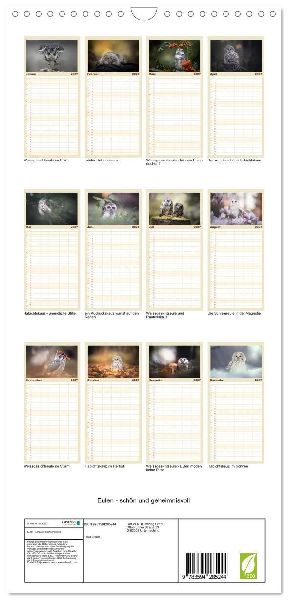 Familienplaner 2027 - Eulen - schön und geheimnisvoll mit 5 Spalten (Wandkalender, 21 x 45 cm) CALVENDO
