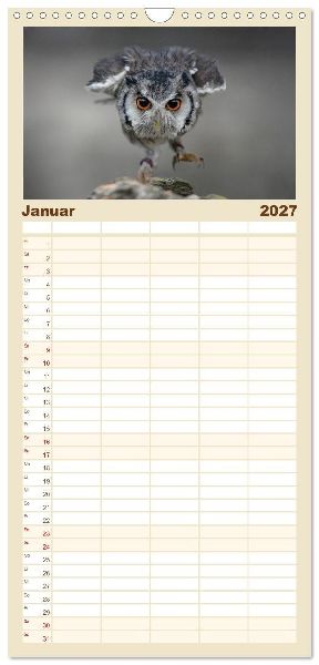 Familienplaner 2027 - Eulen - schön und geheimnisvoll mit 5 Spalten (Wandkalender, 21 x 45 cm) CALVENDO