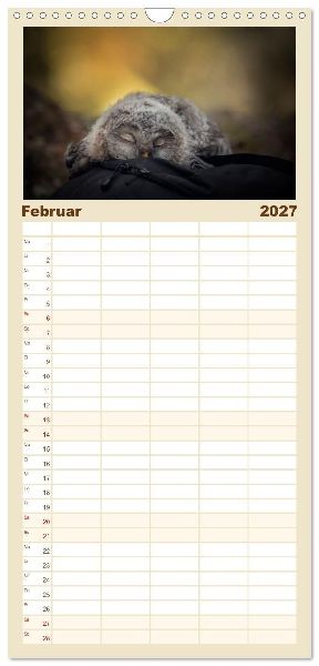 Familienplaner 2027 - Eulen - schön und geheimnisvoll mit 5 Spalten (Wandkalender, 21 x 45 cm) CALVENDO