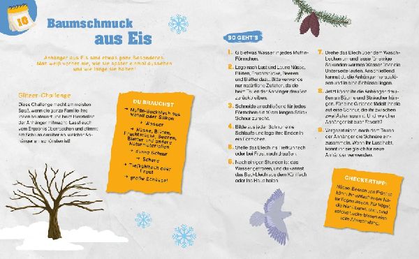 Checker Tobi: Das Adventskalender-Buch: Der X-mas-Check - Expedition Erde