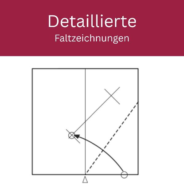 Zarte Origamisterne (kreativ.kompakt.)