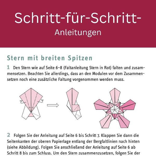 Zarte Origamisterne (kreativ.kompakt.)