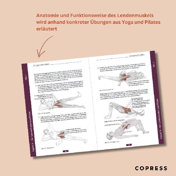 Psoas-Training