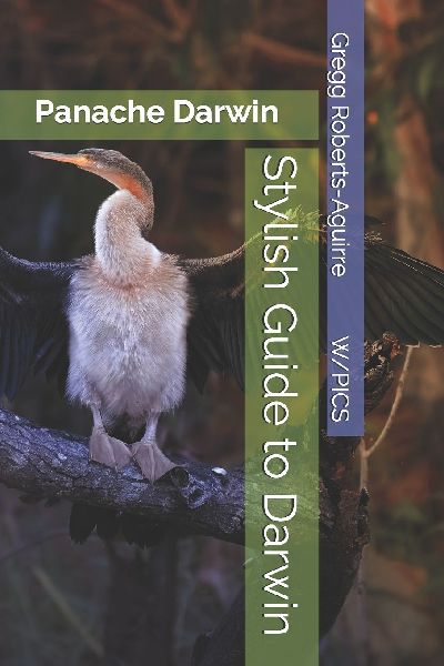 Stylish Guide to Darwin