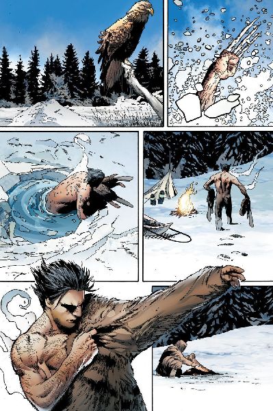Predator vs. Wolverine: Ewige Jagd