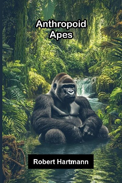 Anthropoid apes