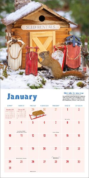 Secret Life of Squirrels Wall Calendar 2027