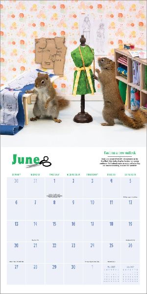Secret Life of Squirrels Wall Calendar 2027
