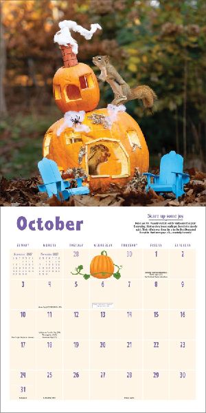 Secret Life of Squirrels Wall Calendar 2027