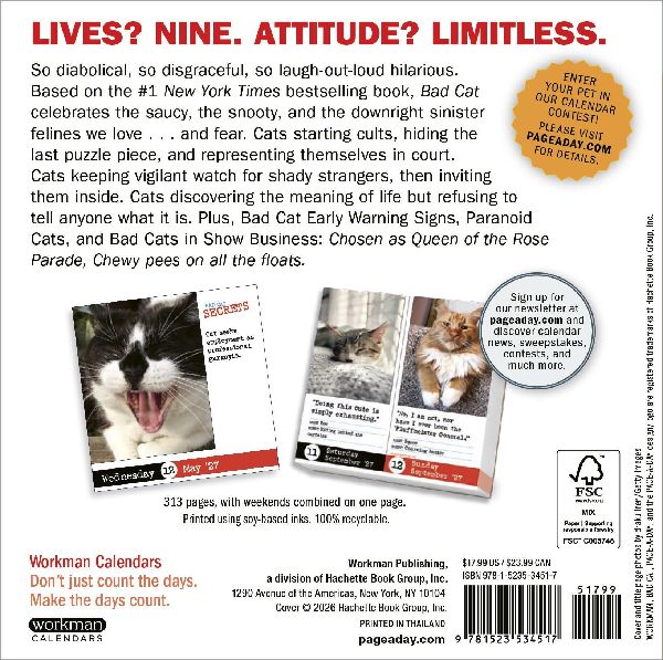 Bad Cat Page-A-Day® Calendar 2027