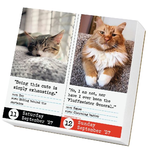 Bad Cat Page-A-Day® Calendar 2027