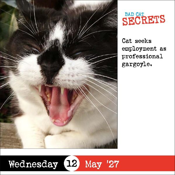 Bad Cat Page-A-Day® Calendar 2027