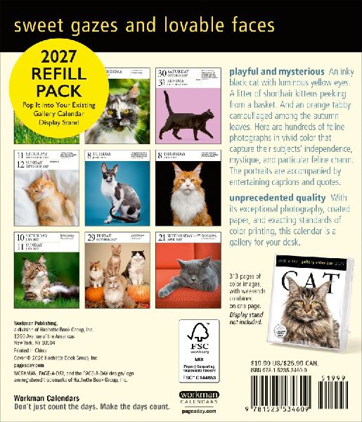 Cat Page-A-Day® Gallery Calendar Refill Pack 2027