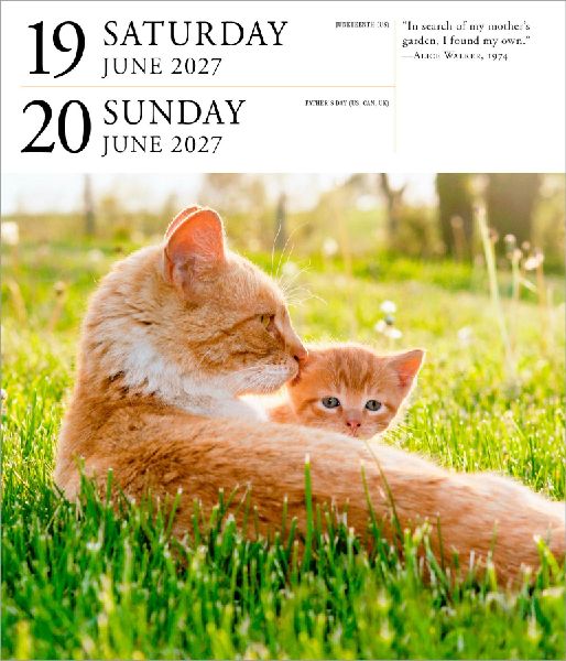 Cat Page-A-Day® Gallery Calendar Refill Pack 2027