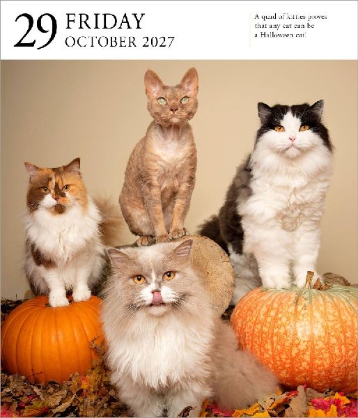 Cat Page-A-Day® Gallery Calendar Refill Pack 2027