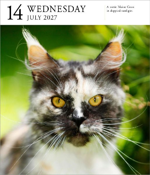 Cat Page-A-Day® Gallery Calendar Refill Pack 2027