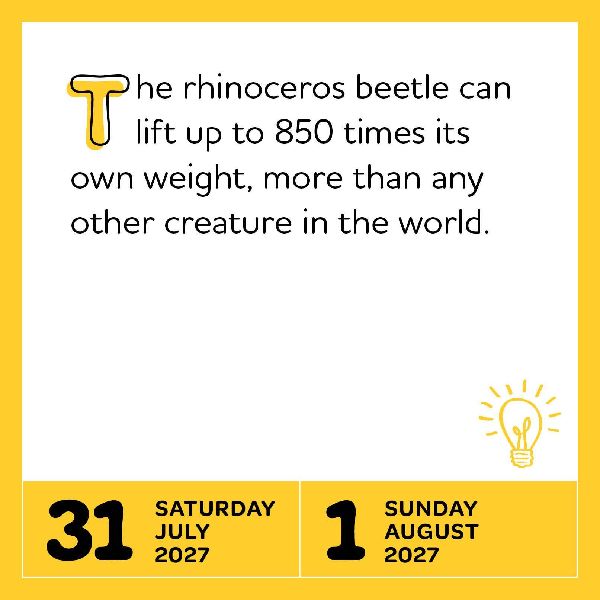 Interesting Facts for Curious Minds Page-A-Day® Calendar 2027