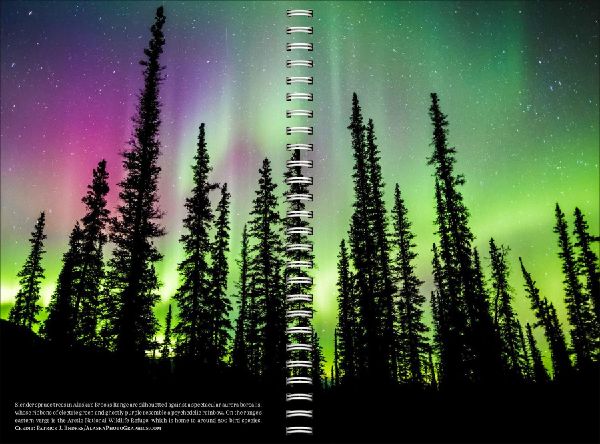 Audubon Engagement Calendar 2027
