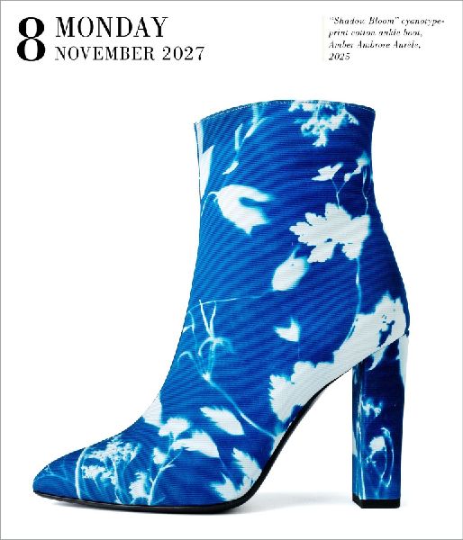 Shoes Page-A-Day(r) Gallery Calendar 2027