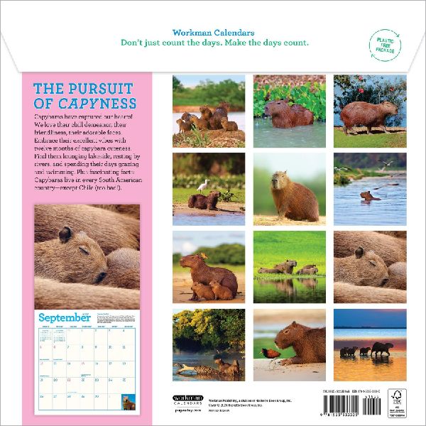 Capybara Wall Calendar 2027