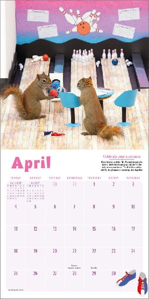 Secret Life of Squirrels Mini Calendar 2027
