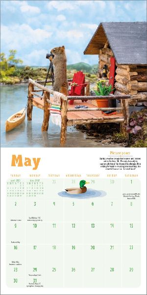 Secret Life of Squirrels Mini Calendar 2027
