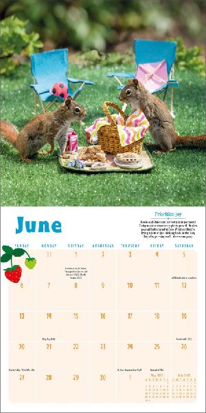 Secret Life of Squirrels Mini Calendar 2027